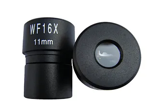 FOV11